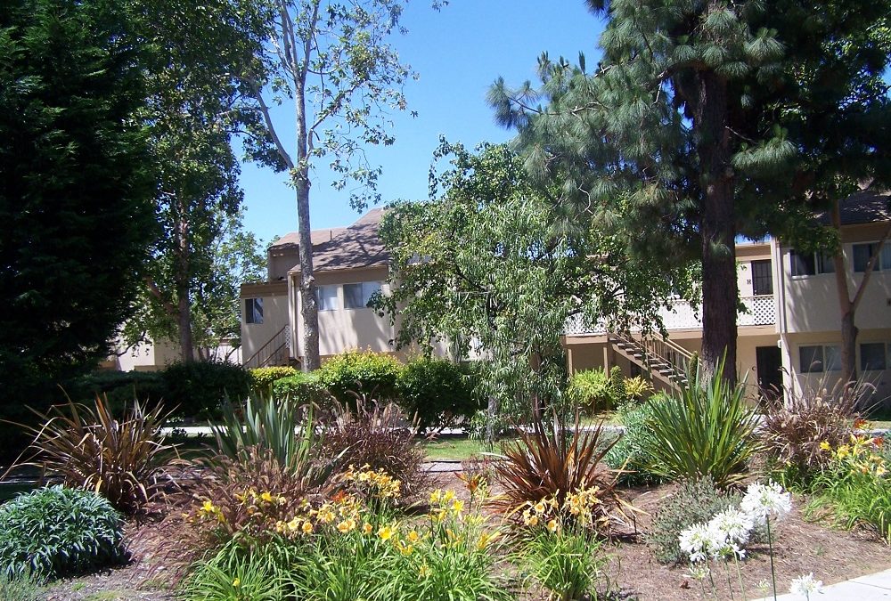 3 Bedroom 2 Bath Renovated Condo in Central Location !